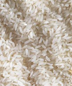 Samba Masuri BPT-5204